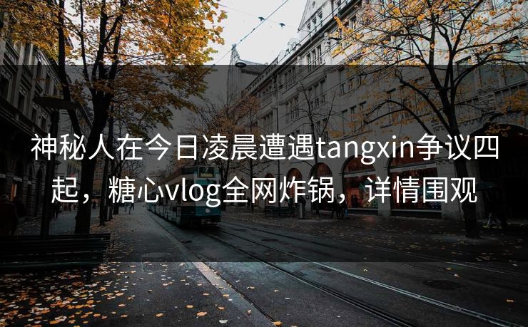神秘人在今日凌晨遭遇tangxin争议四起，糖心vlog全网炸锅，详情围观